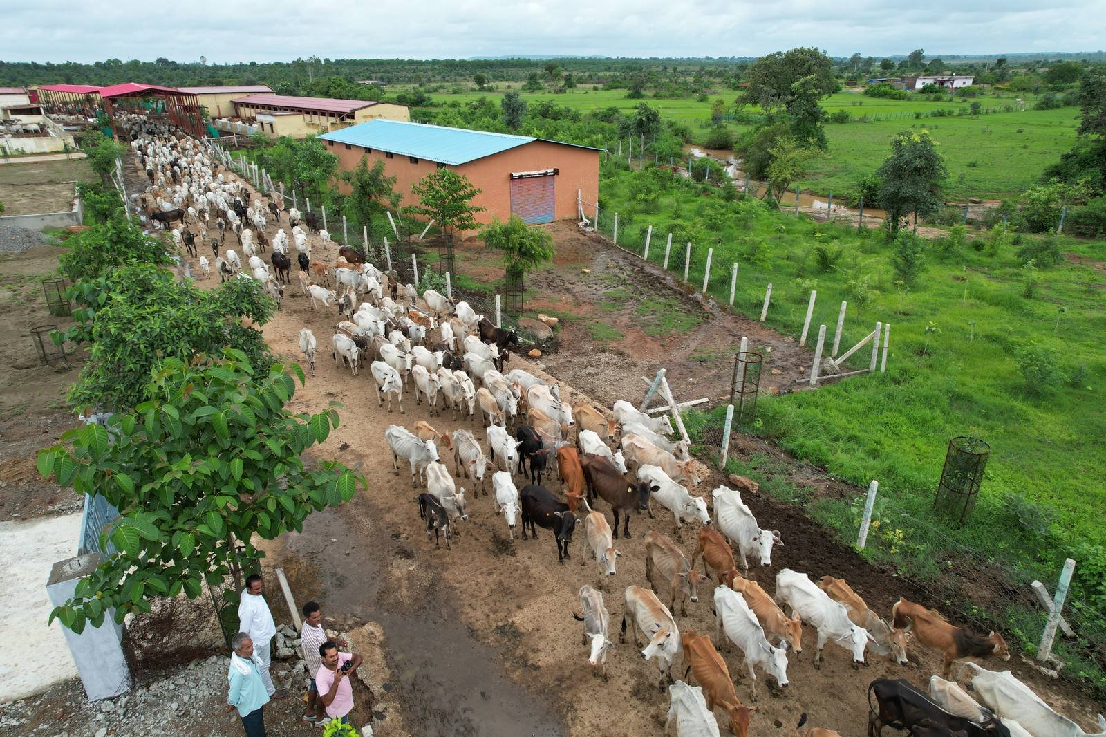 गौशाला मार्ग