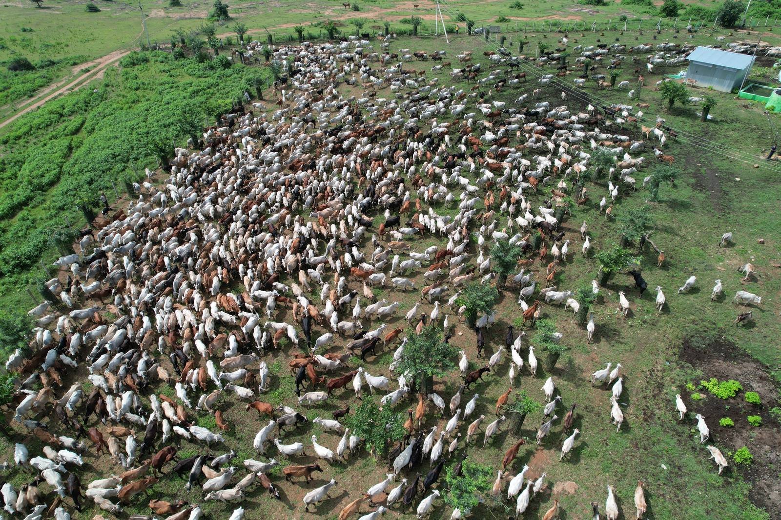 गौशाला मार्ग
