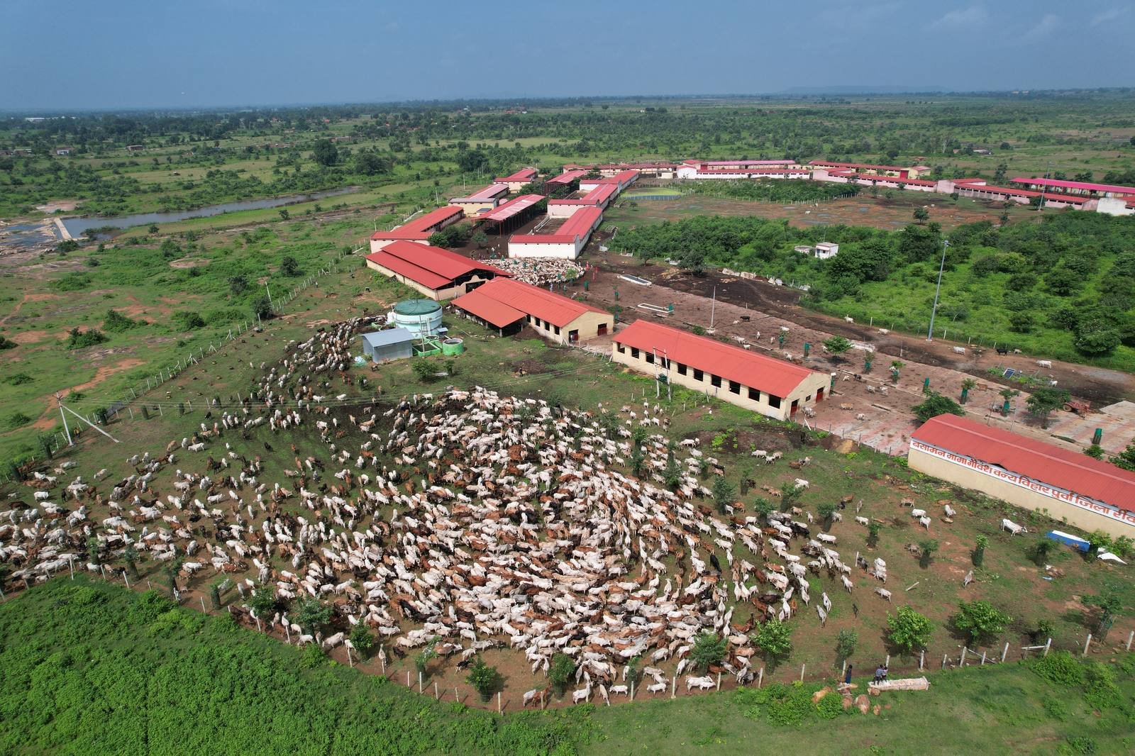 गौशाला मार्ग