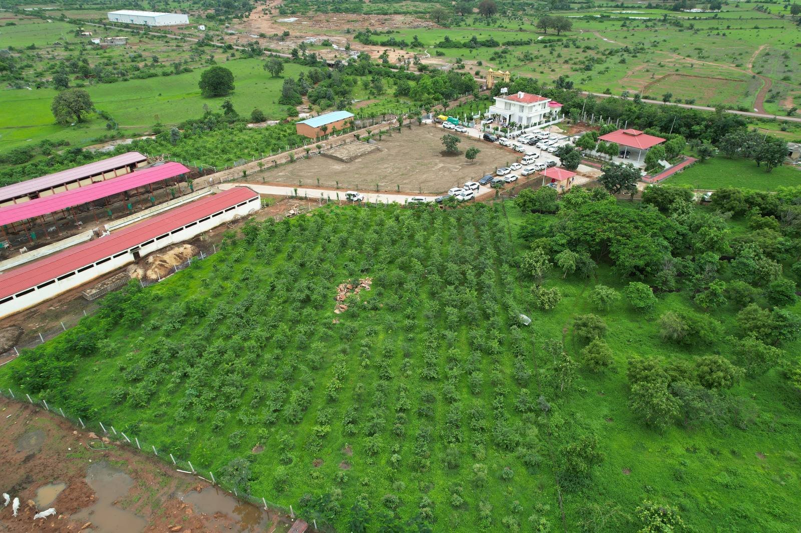 हरियाली