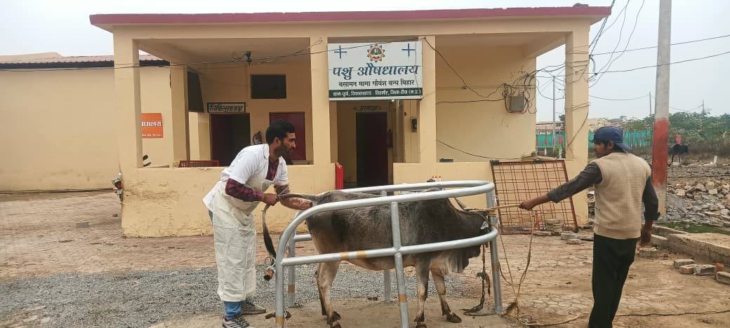 पशु चिकित्सालय